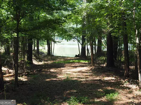 6189 Co Rd 266, Five Points, AL 36855 photo 23
