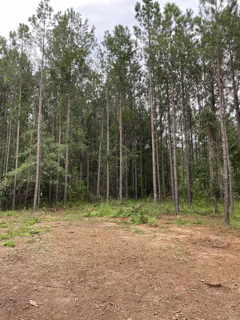 175 Glen Harper Rd, Sparta, GA 31087