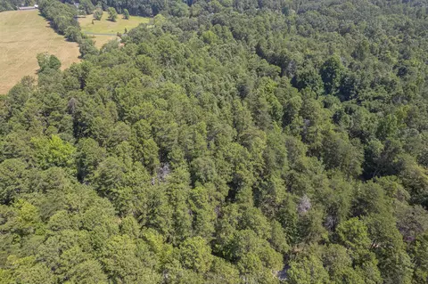 0 Camp Creek Rd, Toccoa, GA 30577 photo 15