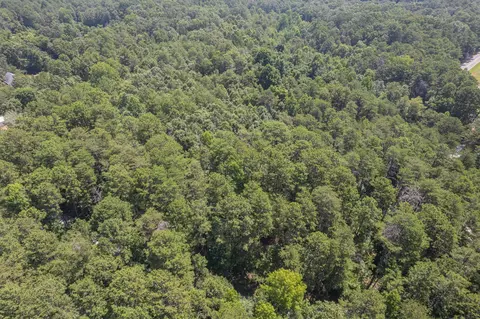 0 Camp Creek Rd, Toccoa, GA 30577 photo 16