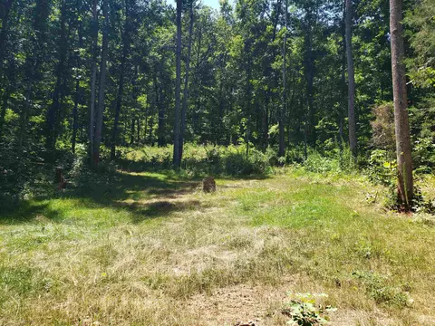 227 Cherokee Rd, Toccoa, GA 30577 photo 1
