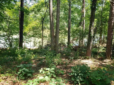 227 Cherokee Rd, Toccoa, GA 30577 photo 5