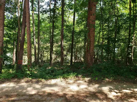227 Cherokee Rd, Toccoa, GA 30577 photo 4