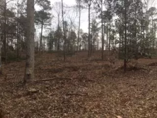 1100 County Rd, Thomaston, GA 30286 photo 1