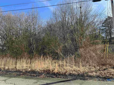 0 Pine Dr #166, Ringgold, GA 30736 photo 3