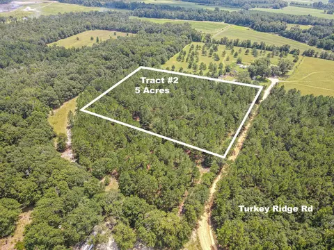 Tract 2 Turkey Ridge Road, Metter, GA 30439