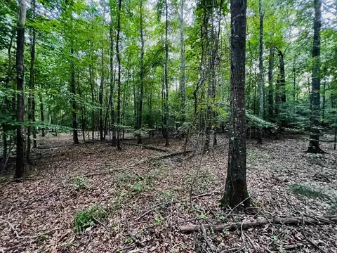 205 Alcovy Cir, Covington, GA 30014 photo 11