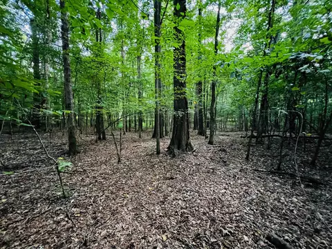 205 Alcovy Cir, Covington, GA 30014 photo 10