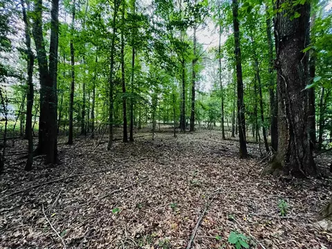 205 Alcovy Cir, Covington, GA 30014 photo 7