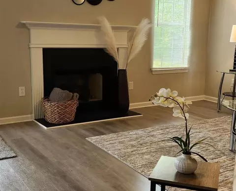 11277 Aliyah Dr, Hampton, GA 30228 photo 8
