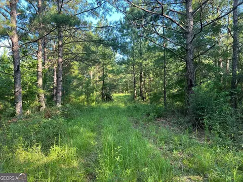 0 53 Hwy #73, Clayton, AL 36016