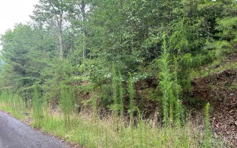 lot8 Preserve At Beach Mtn, Brasstown, NC 28902