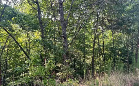 lot11 Preserve At Beach Mtn, Brasstown, NC 28902
