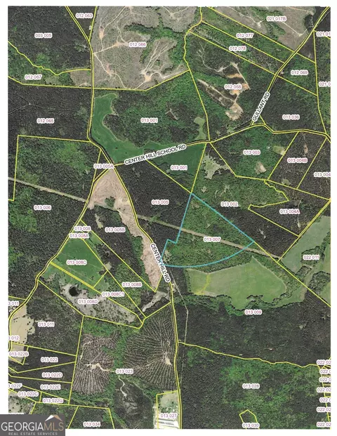77 Ac Center Hill Rd, Crawfordville, GA 30631