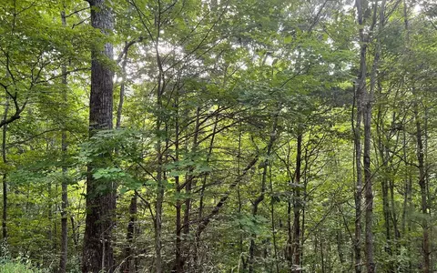 lot13 Preserve At Beach Mtn, Brasstown, NC 28902