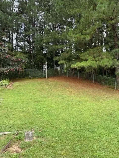 10867 Knotty Pine Pl, Hampton, GA 30228 photo 34