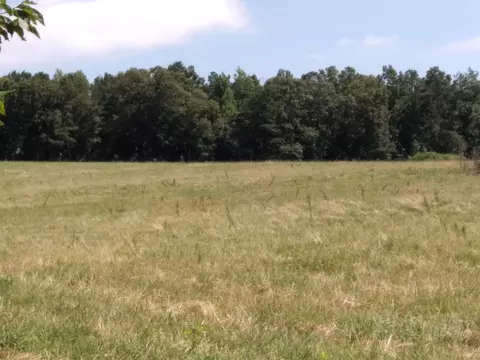 1280 Co Rd 667, Muscadine, AL 36269