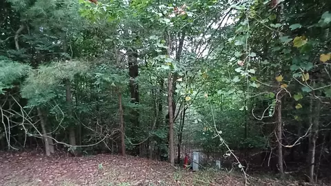 0 Lakeview Walk, Baldwin, GA 30511 photo 8