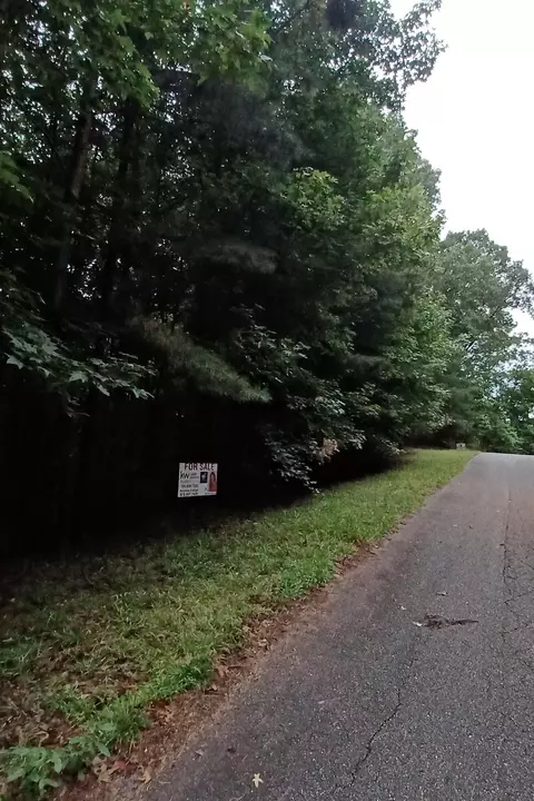 0 Lakeview Walk, Baldwin, GA 30511 photo 4