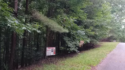 0 Lakeview Walk, Baldwin, GA 30511 photo 2