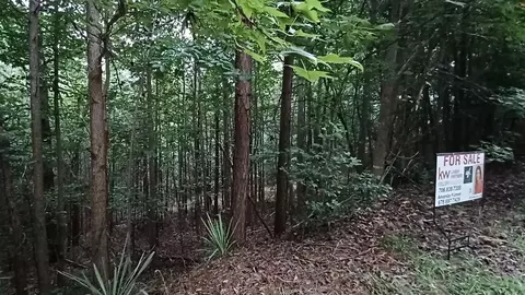 0 Lakeview Walk, Baldwin, GA 30511 photo 5