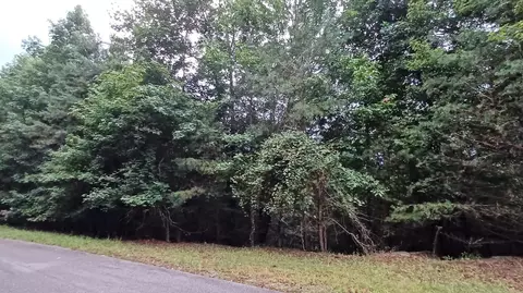 0 Lakeview Walk, Baldwin, GA 30511 photo 10