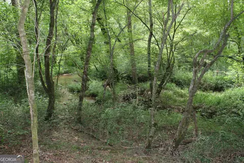 40 Whitetail Ln, Comer, GA 30629 photo 36
