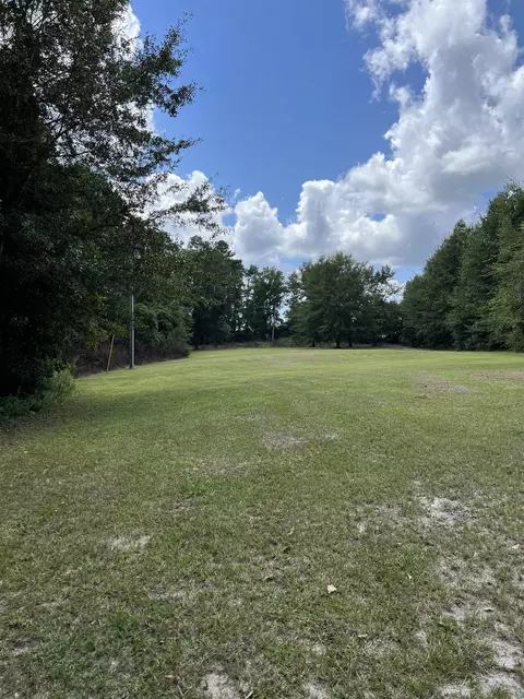 714 Old Mcleod Bridge Rd, Adrian, GA 31002 photo 3