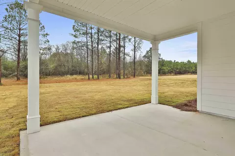 156 Maple Ln #31, Williamson, GA 30292 photo 40
