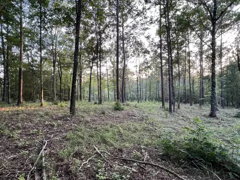 560 Flat Shoals Rd, Gray, GA 31032 photo 4