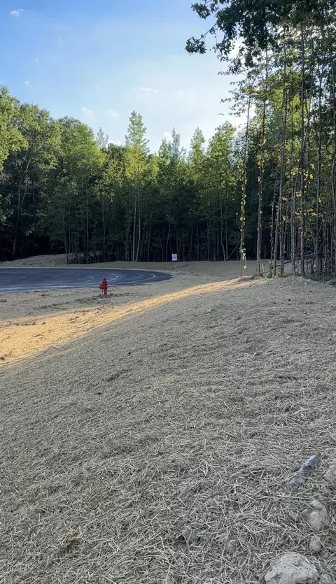 LOT 4 Blake Lane #4, Bethlehem, GA 30620