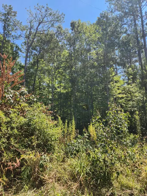 405 Ellistown Rd, Jackson, GA 30233 photo 3