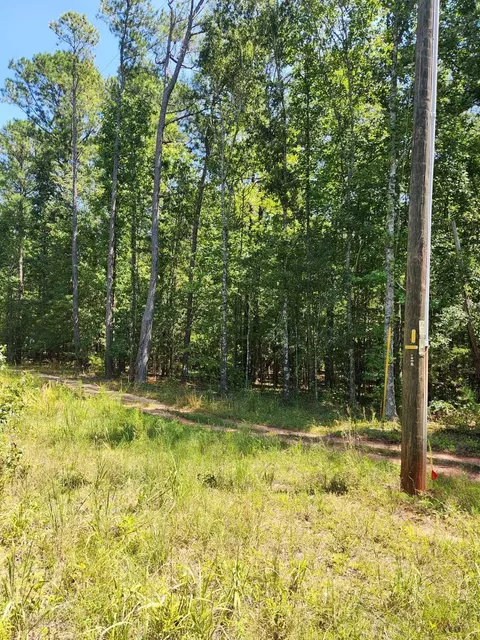 405 Ellistown Rd, Jackson, GA 30233 photo 4