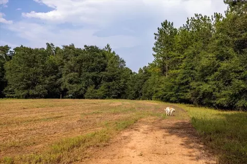 6641 Buckeye Rd, Perry, GA 31069 photo 110