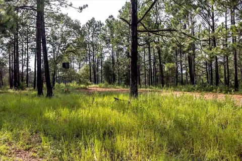 6641 Buckeye Rd, Perry, GA 31069 photo 112