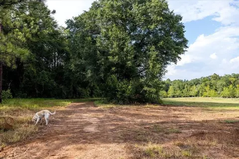 6641 Buckeye Rd, Perry, GA 31069 photo 108