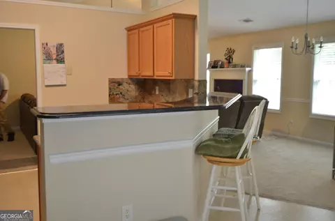 1150 Otis Dr, Bethlehem, GA 30620 photo 8