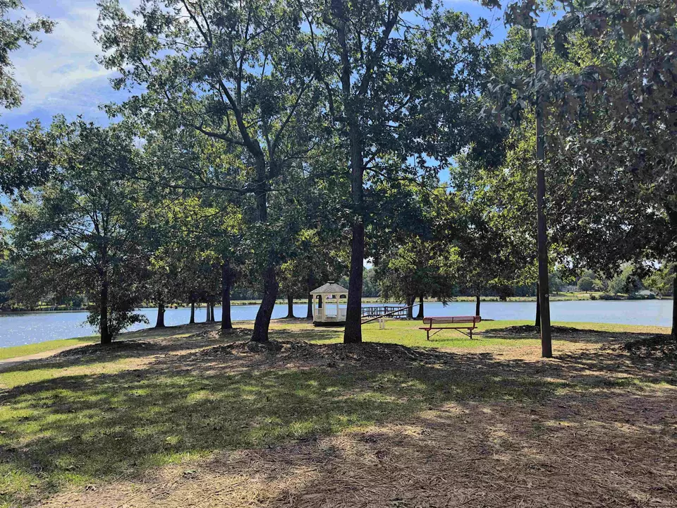  316 Kellys Walk, Locust Grove, GA 30248 photo 16