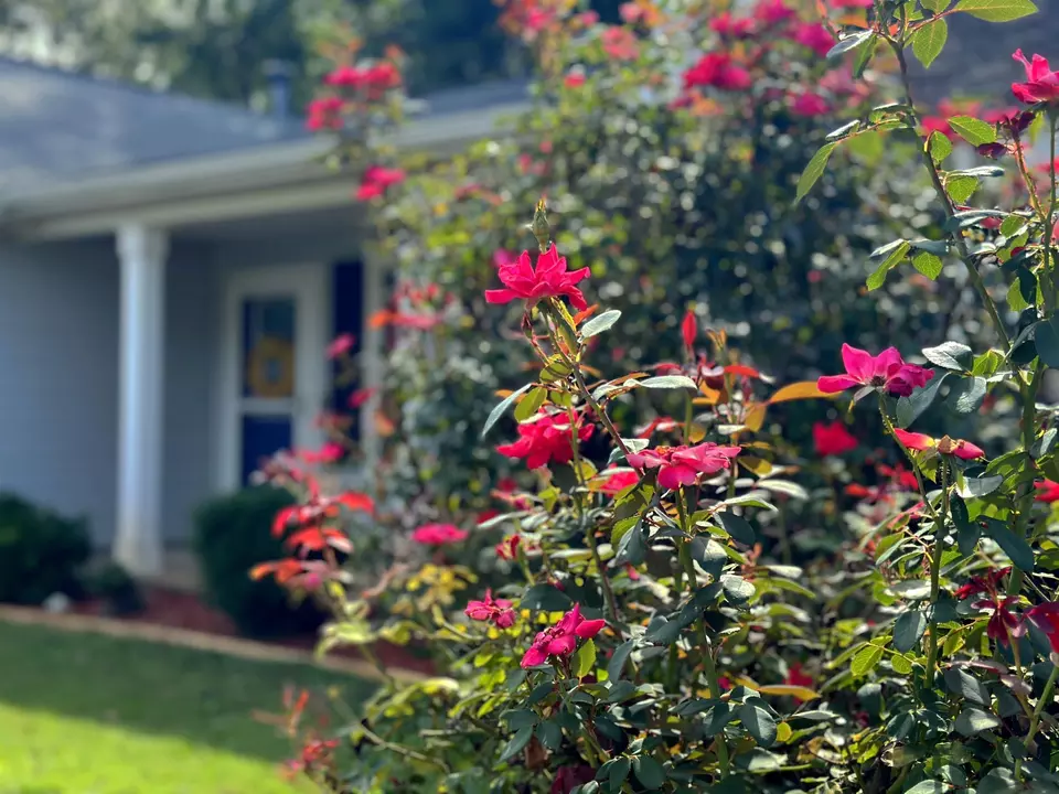  316 Kellys Walk, Locust Grove, GA 30248 photo 8