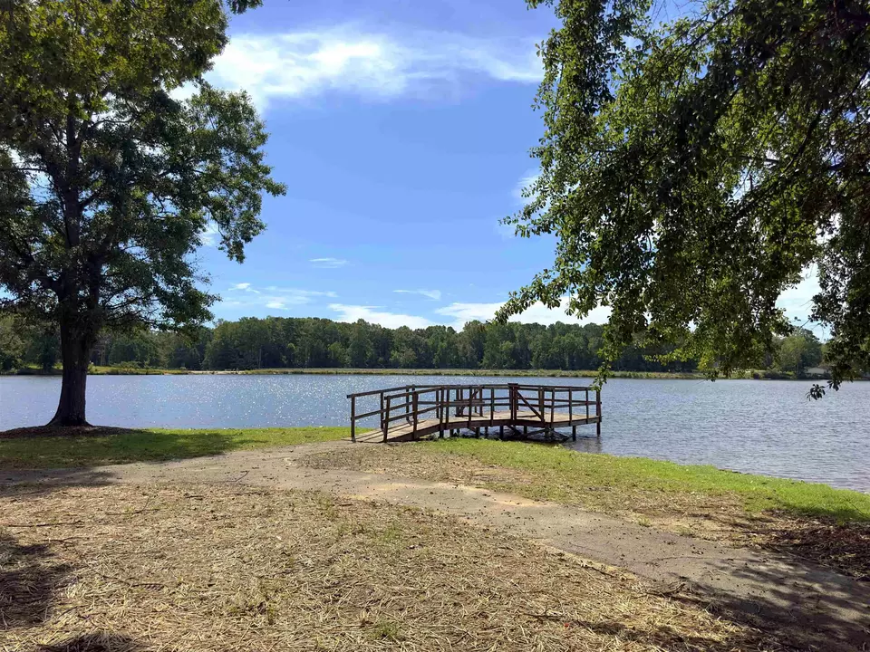  316 Kellys Walk, Locust Grove, GA 30248 photo 19