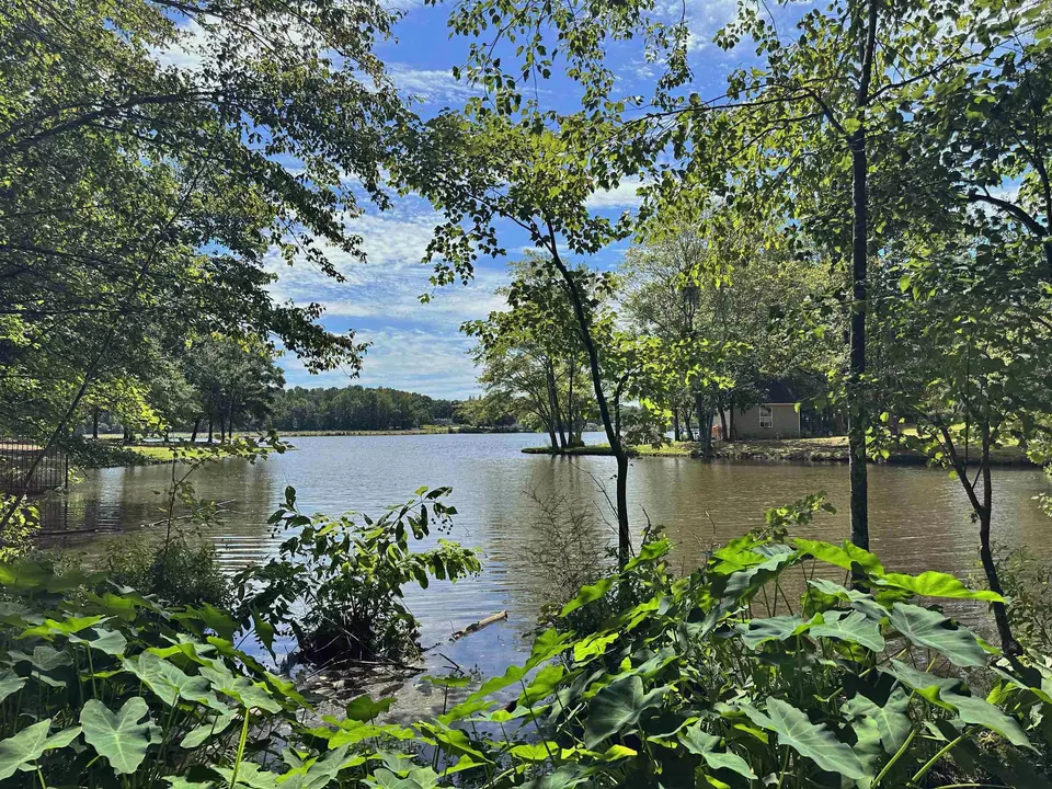  316 Kellys Walk, Locust Grove, GA 30248 photo 51