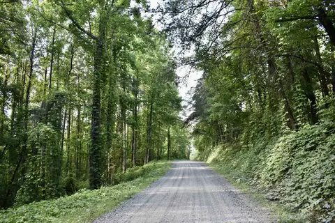 0 Dry Pond Rd, Ranger, GA 30734