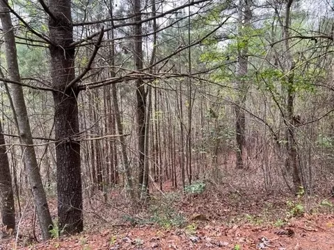 Lt 54, Murphy, NC 28906 photo 2