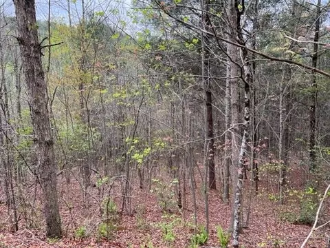 Lt 54, Murphy, NC 28906 photo 4