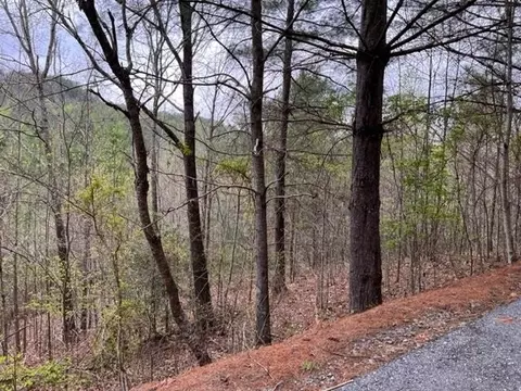 Lt 54, Murphy, NC 28906