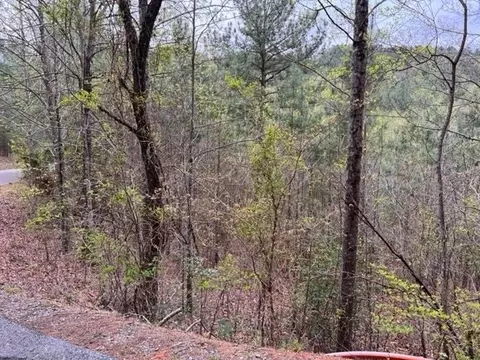 Lt 54, Murphy, NC 28906 photo 5