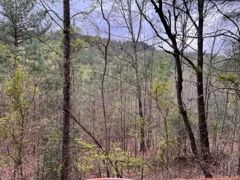 Lt 54, Murphy, NC 28906 photo 6