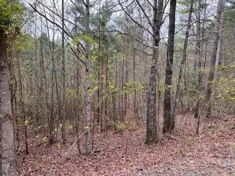 Lt 54, Murphy, NC 28906 photo 3