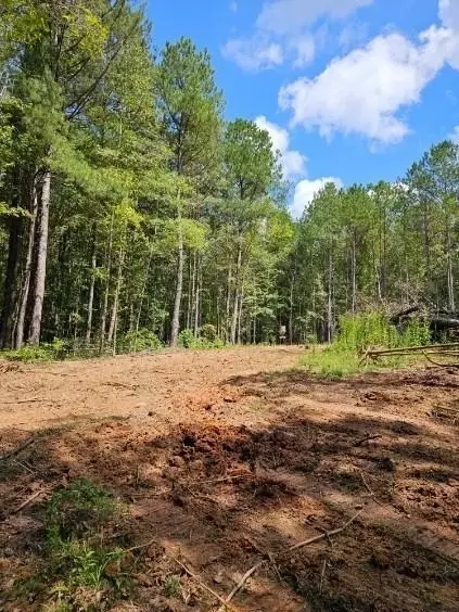 731 Cyler Rd, Gray, GA 31032 photo 9