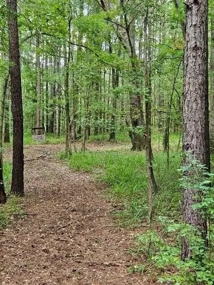 731 Cyler Rd, Gray, GA 31032 photo 7